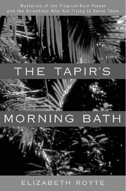 The Tapir's Morning Bath Book