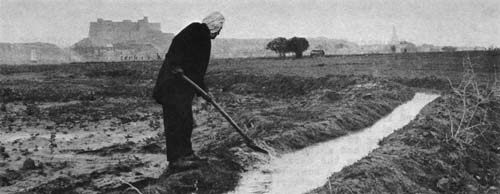 Murad Watering His Fields