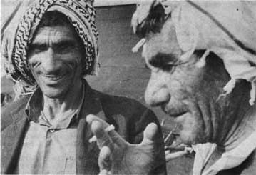Desert Bedouin And Karim