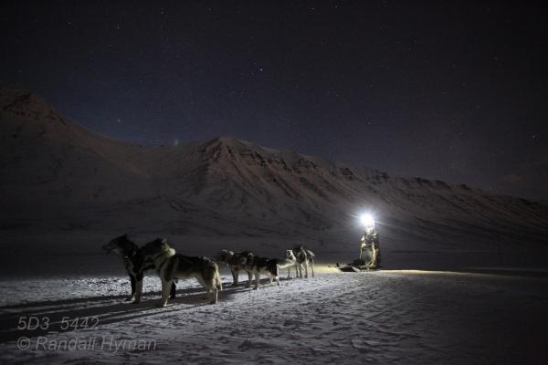 Headlamp of dog sled driver lights snowy path beneath starry sky in the polar night of January in Longyearbyen, Svalbard, Norway.