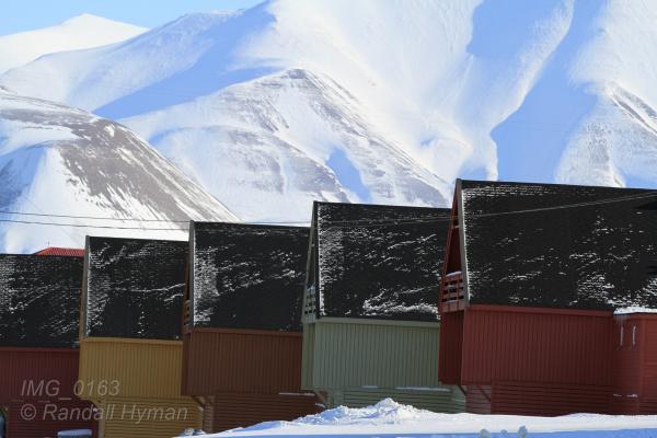 Colorful houses in Longyearbyen, Svalbard, Norway.