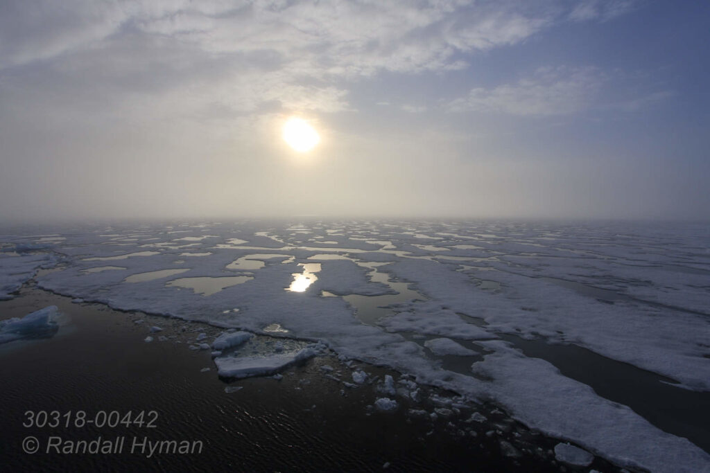 Late July sun melts the Arctic Ocean's polar ice pack near 82° north latitude, far north of Svalbard, Norway.