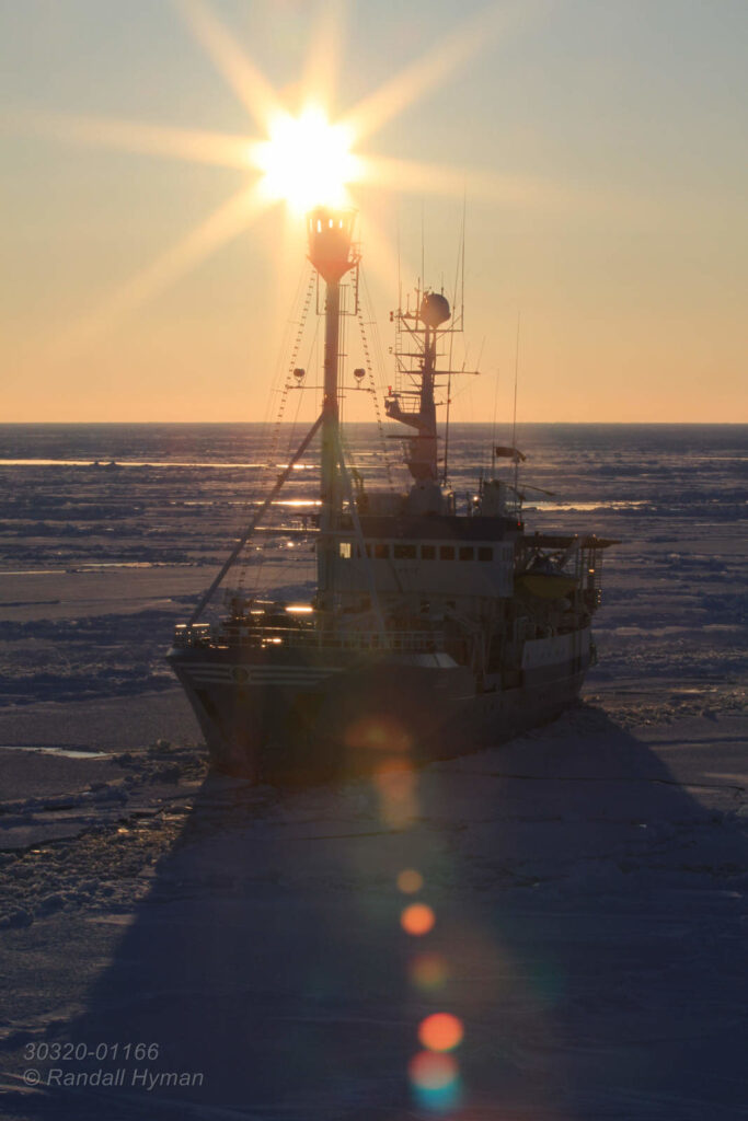 Norwegian Polar Institute's research ship, R/V Lance, sails deep into the Arctic Ocean's polar ice pack to 83° north latitude following leads cracked open by coast guard icebreaker K/V Svalbard in April 2015 far north of Svalbard, Norway.