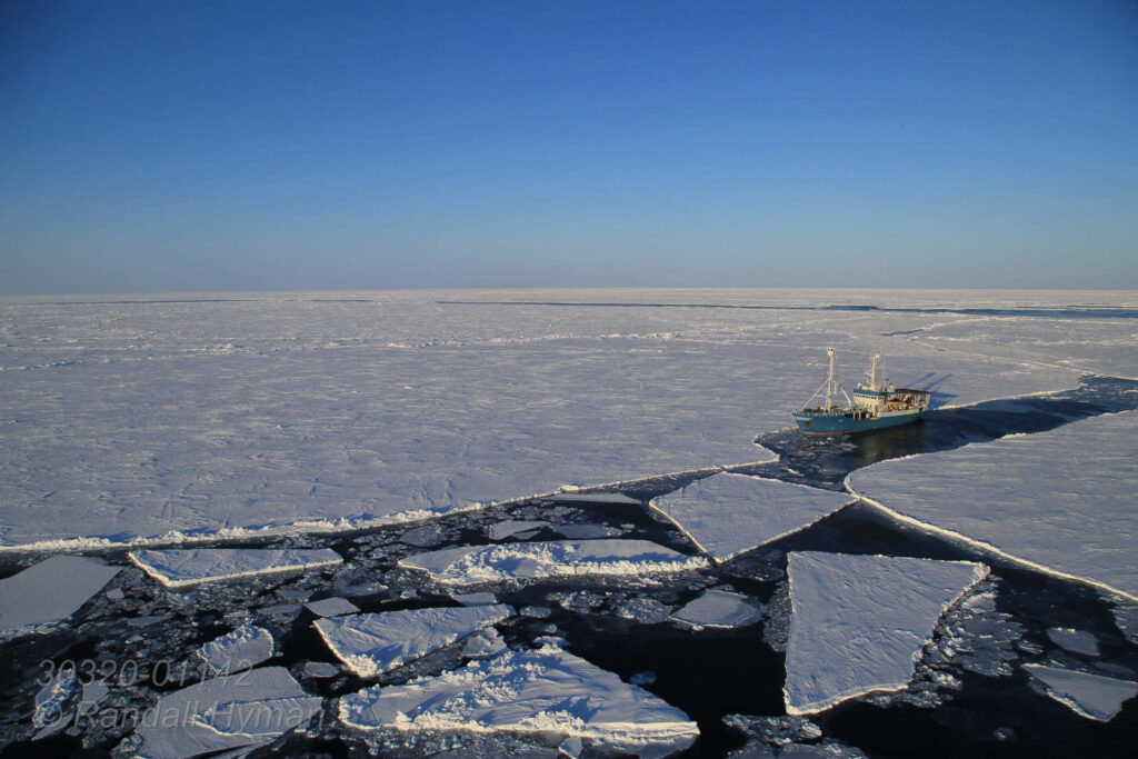 Norwegian Polar Institute's research ship, R/V Lance, sails deep into the Arctic Ocean's polar ice pack to 83° north latitude following leads cracked open by coast guard icebreaker K/V Svalbard in April 2015 far north of Svalbard, Norway.