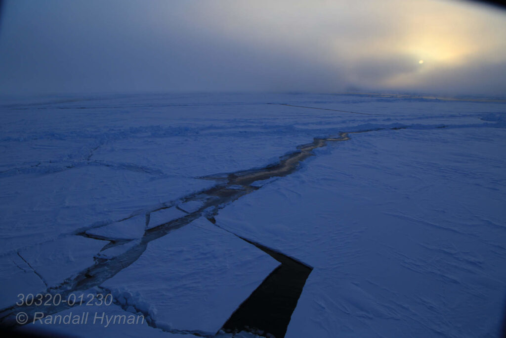 Dim April sun helps melt the Arctic Ocean's polar ice pack near 83° north latitude, far north of Svalbard, Norway.