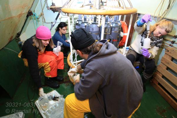 Scientists pull water samples from Niskin bottles on rosette carousel aboard R/V Helmer Hanssen to analyze marine gases, acidity and microbial methane activity during CAGE research cruise; Svalbard archipelago, Norway.