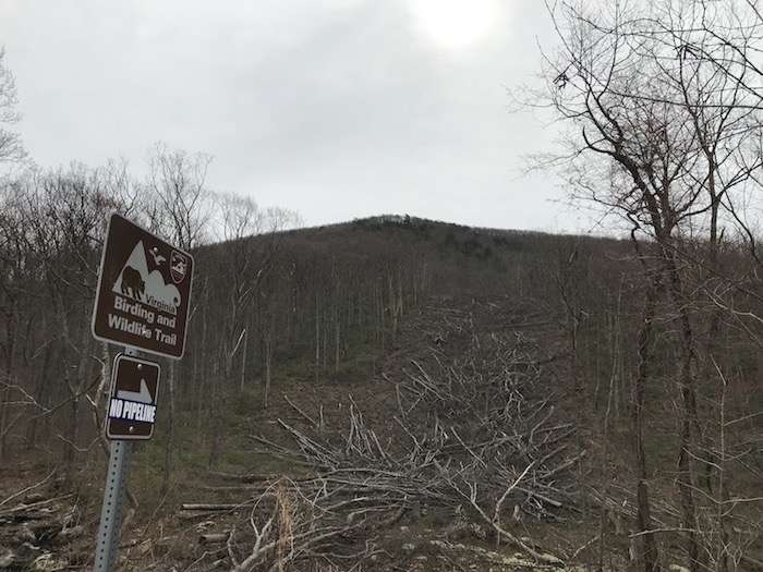 A “No Pipeline” sticker adorns a sign near where the Atlantic Coast Pipeline would have crossed a mountain near Wintergreen Resort, just below Reids Gap in Nelson County, Virginia.