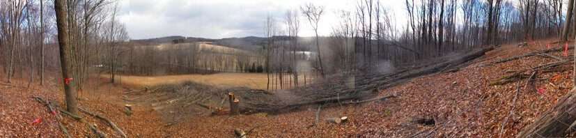 “A view of the cleared right-of-way for the Constitution Pipeline on the property of the Holleran family of New Milford, PA. Tree-fellers authorized by the Federal Energy Regulatory Commission used chain-saws to destroy 90 percent of the family’s maple trees that produced syrup for their business, North Harford Maple.”