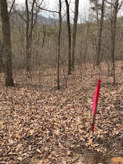 Surveyors’ stakes marked LOD for “limits of disturbance” at the edge of a natural gas pipeline right-of-way. Credit: Jonathan Mingle