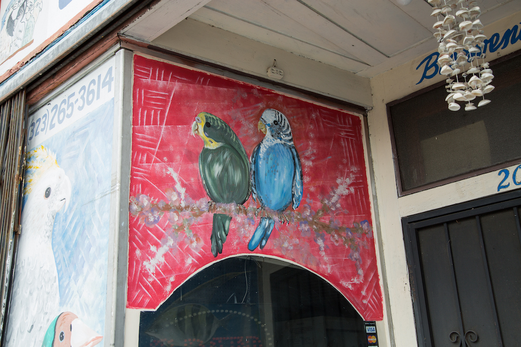 A detail from Samy Pet Shop in the J.S. Schirm Building at 2011 E. First Street in Boyle Heights, on the east side of Los Angeles.