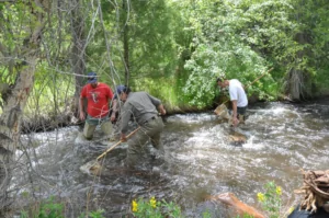 3 men in stream in stream - Photo Credit: Cameron Ghalambor