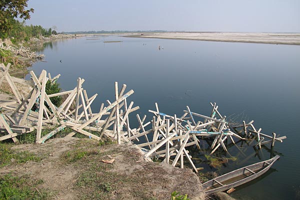 Concrete porcupines, erected all along the southrn bank of Majuli Island to reduce erosion, have proved ineffective.