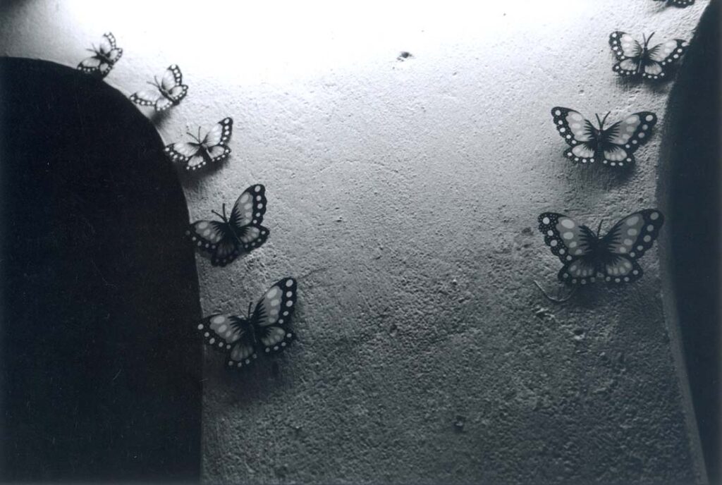Paper butterflies decorating a brothel room. 2001 © Zana BRISKI