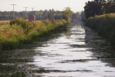 Nitrogen and phosphorus drain from cropland and livestock operations into swollen ditches like this one in Michigan. Photo © J. Carl Ganter/Circle of Blue