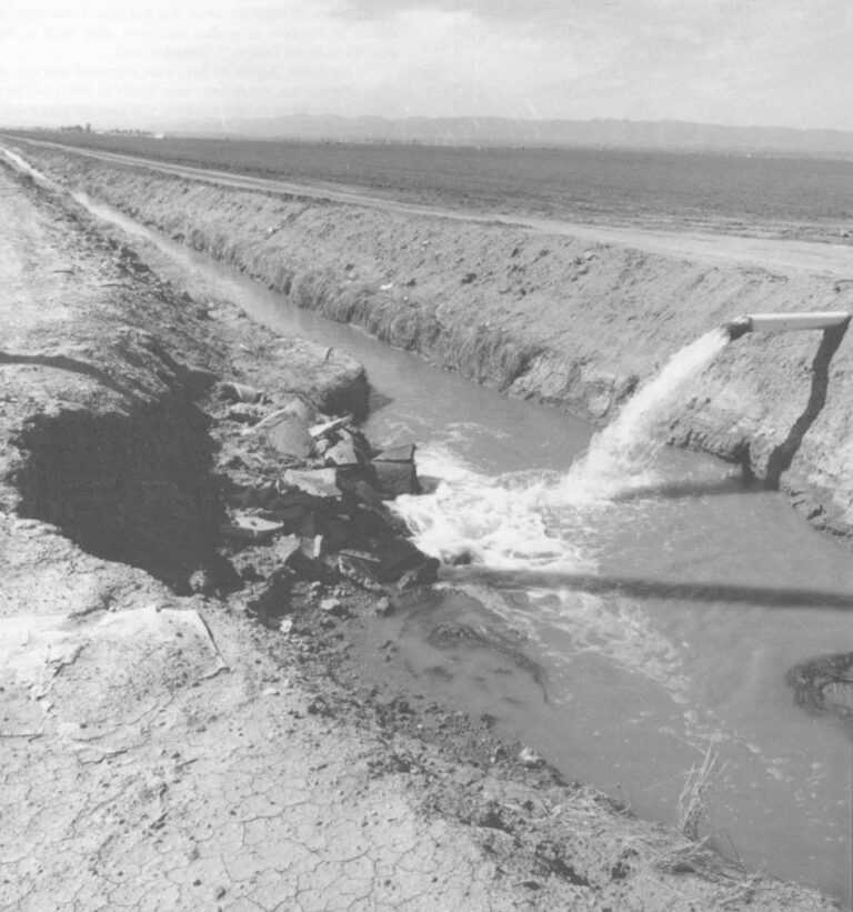 A typical draininage ditch near Firebaugh, California that receives water from a nearby field of tomatoes. Bureau of Reclamation photo by J.C. Dahilig