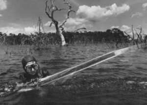 A "Submarine" logger in the Amazon cuts drowned timber using an underwater chain saw invented by a local mechanic. The wood, burned into charcoal, fuels the iron smelters that pollute the Amazon. Photo by Claus Meyer/Tyba.