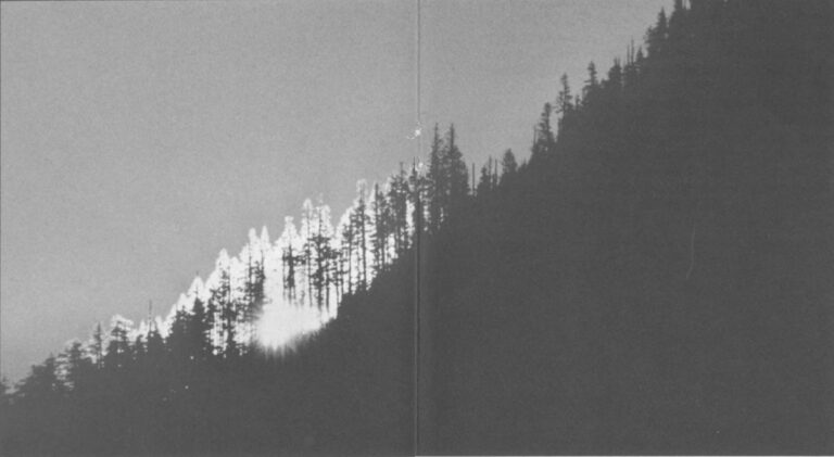 The Northwest was blessed with seemingly infinite resources. The early morning Douglas firs on a Cascade Mountain ridge.