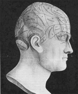 Bust of head with brain sections