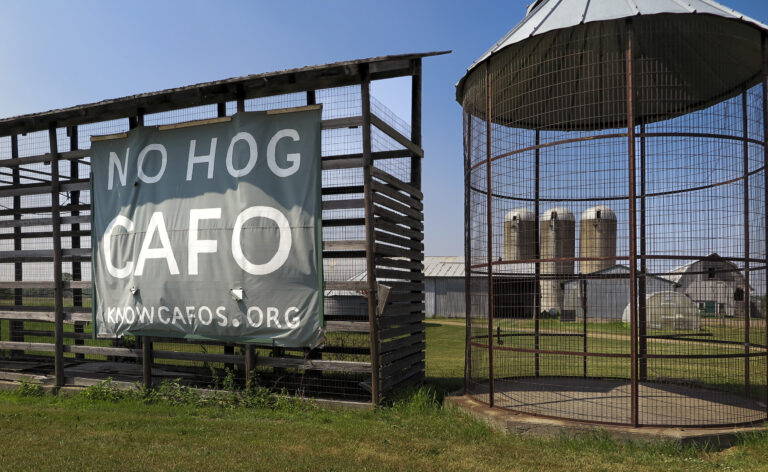 The spread of large and polluting livestock operations out of Iowa and into neighboring states is generating civic protest. This sign of opposition is north of St. Croix Falls, Wisconsin.