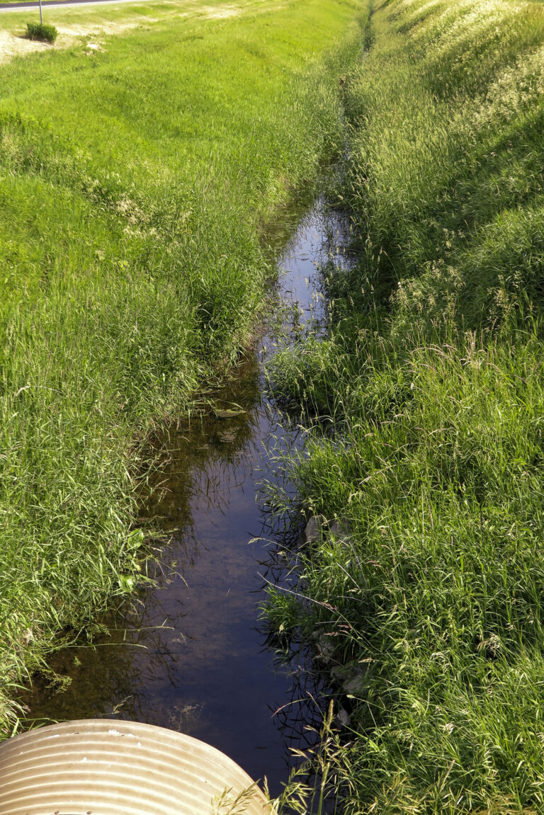 Deep ditches, like this one in Mankato, Minnesota, carry nutrient-saturated waters off farm fields and into streams and rivers.