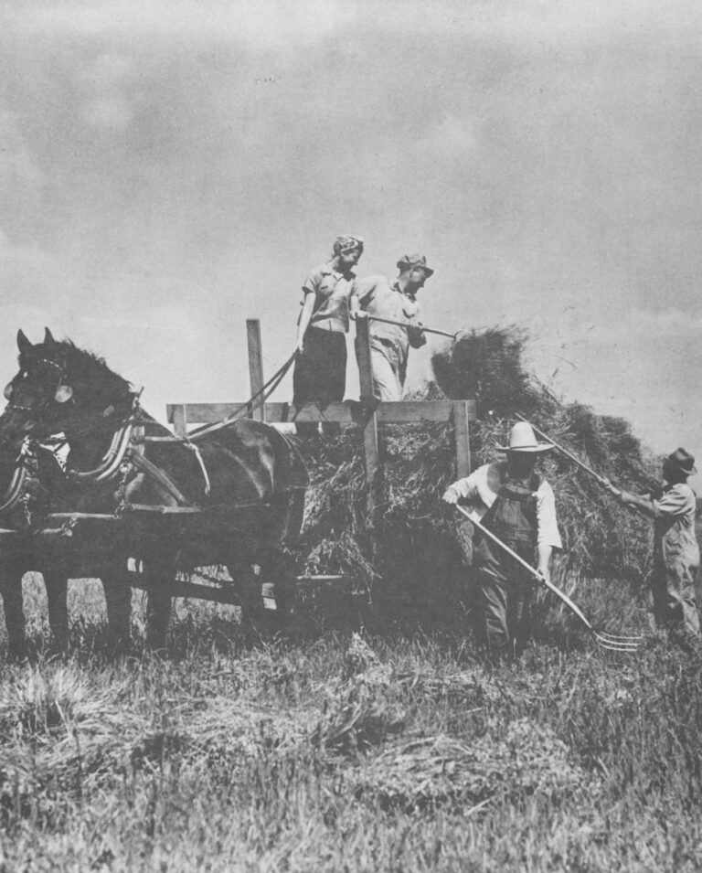 Farmers loading hay