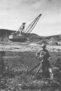 Crane in field