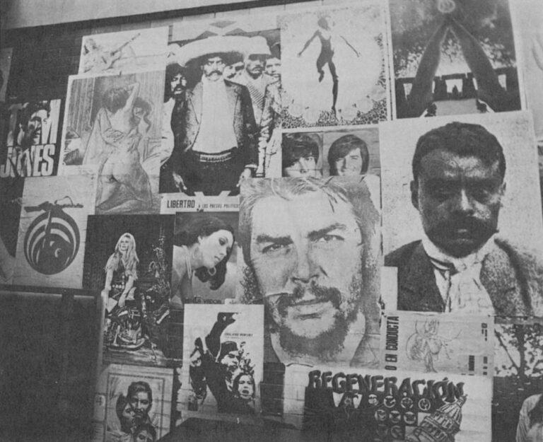 A section of wall in the Autonymous National University of Mexico, UNAM, where Guevara, Bardot, and Zapata are juxtaposed with Tom Jones and pleas for "Chicano Power."