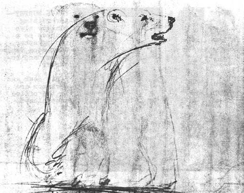 A Page From The Past – The bear is a casual sketch made by Rock before he took on the newspaper business. The last thing he drew was the masthead for the Tundra Times which appears on page one of this news letter.