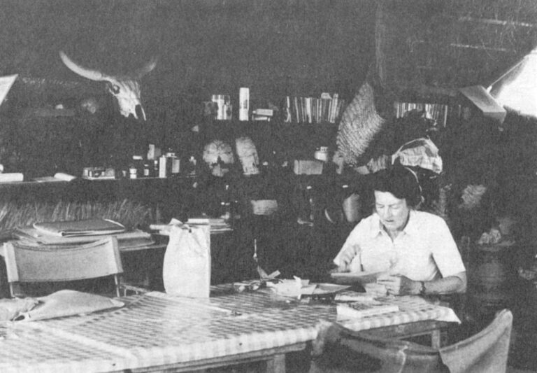 Dr. Mary Leakey reads her mail in the grass hut that serves as a storage area, work space, and dining room at her Olduvai Gorge camp. On the top shelf, next to cans of insect spray is a plastic cast of "Zinj," the famous skull she found in 1959.