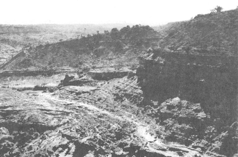 The sharply layered deposits of Olduvai Gorge, 160 miles southwest of Nairobi in northern Tanzania, were created by alternating deposition of take sediments and volcanic ash from eruptions along the Rift Valley. The gorge, cut by a river and widened by erosion, meanders some 25 miles with one major fork. Over 130 sites along its length have yielded bones and/or tools ranging in age from 10,000 years to nearly two million years.