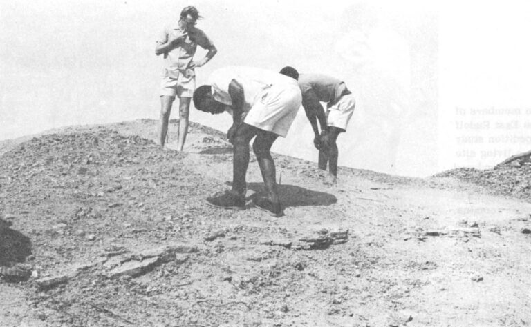 Leakey and members of his crew search for new fossils on a typical eroded slope that has already yielded some hominid fossils.