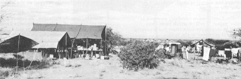 Accessible only by light plane or a punishing three-day overland route, the tent camp of the Omo Research Expedition is, as Clark Howell says, "750 miles from nowhere." To the west is the Sudan and the Nile Valley. To the north and east are the Ethiopian highlands. To the south is Kenya’s forbidding Northern Frontier District.