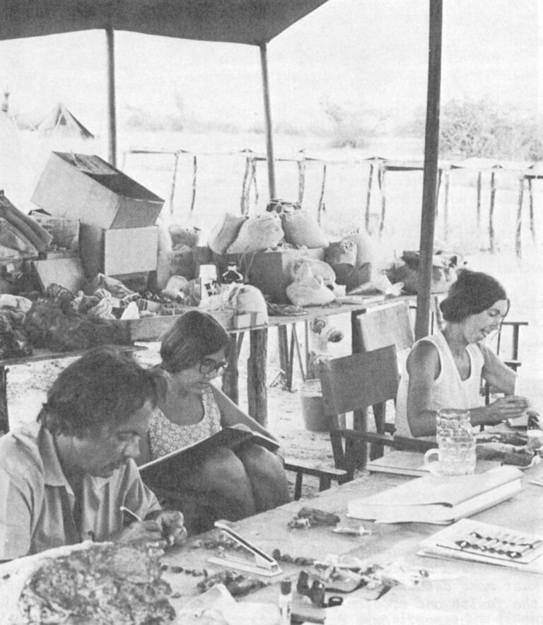 Most afternoons Clark Howell (l.) identifies and catalogs the fossils found that morning. In the shade of the "work tent" he numbers a fossil fragment while Dorothy Dechant, a student, records the information. Joan Merrick (r.) catalogs the artifacts recovered from her husband’s dig.