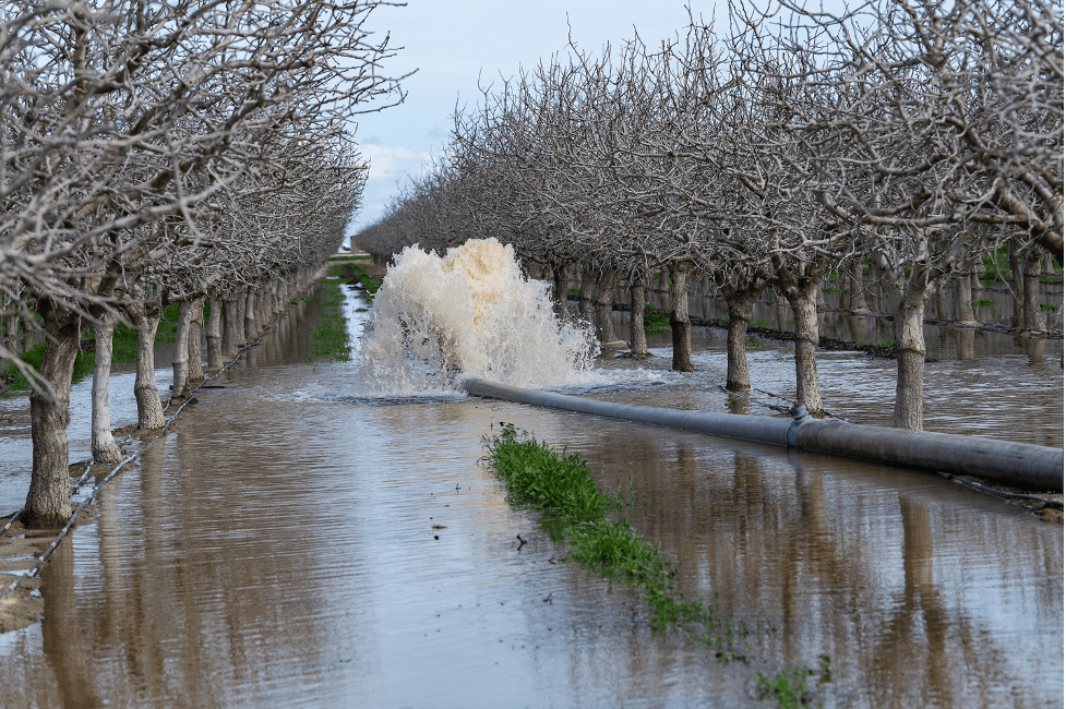 Images showing water issues at the Terranova Ranch in Fresno County, California. (Courtesy California Department of Water Resources).