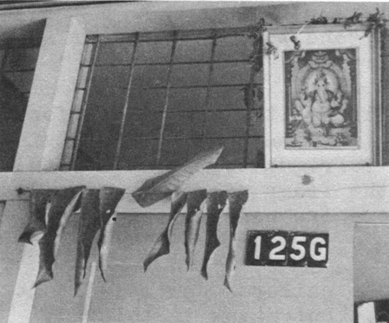 Their Indian neighbor' s door with Ganesh portrait (god of good fortune) and basil leaves.