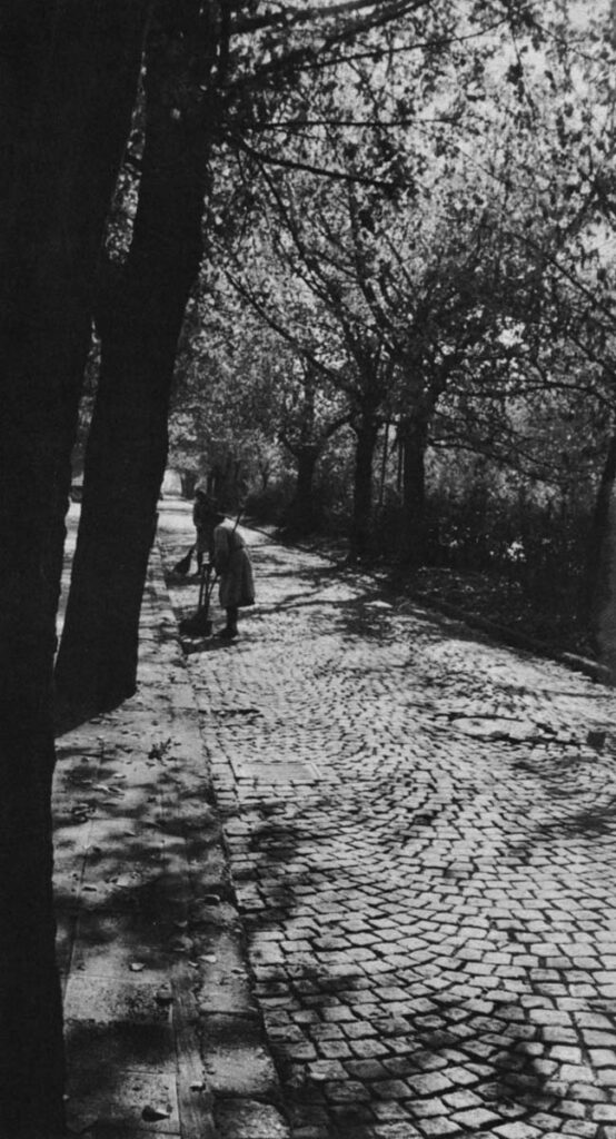 A street at the edge of Liberty Park.