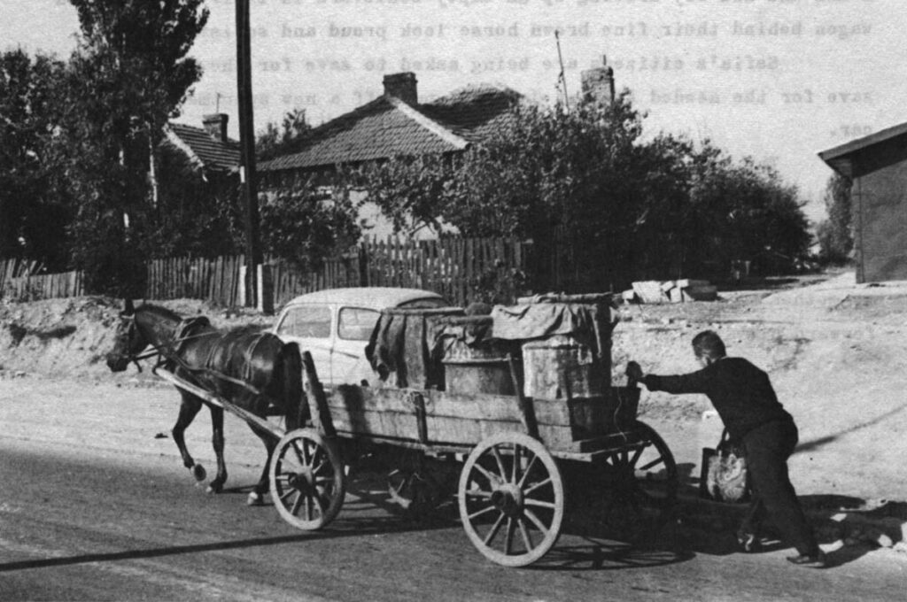 The man helping the horse uphill was just a passer-by who pitched in. The driver is hidden behind his load.