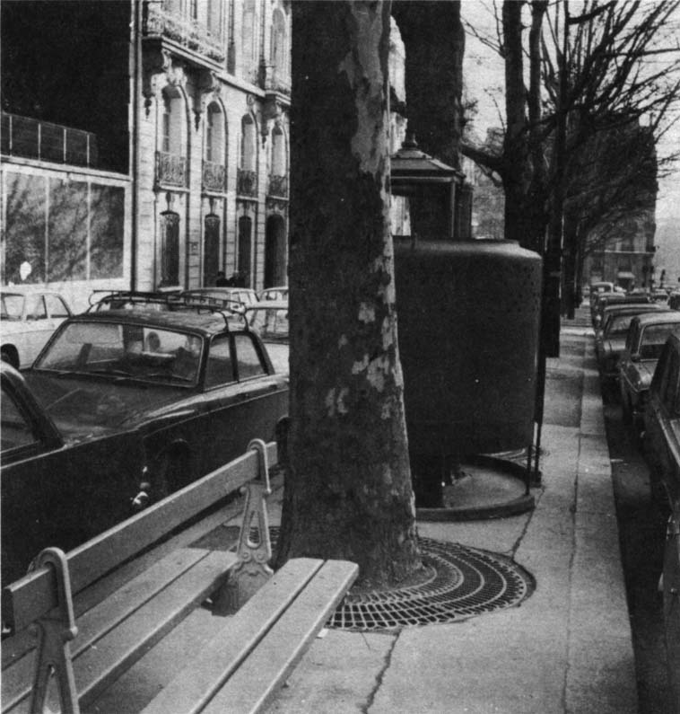 All the Haussmann things at once – bench, trees, urinal, and fancy ironwork, jammed in among the cars that travel his streets.