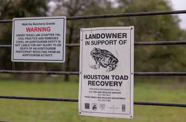 Cedar Hill Nature Preserve, owned by Mike and Joyce Connor, is a 700-acre property in Gause, Texas. Julia Robinson for Vox
